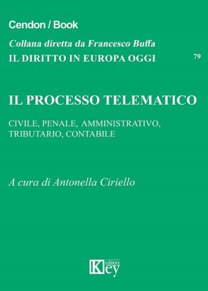 Cover of the book Il processo telematico by Valerio de Gioia