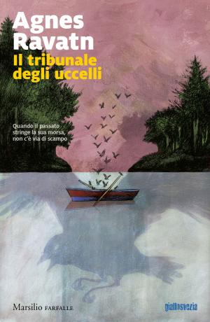 Cover of the book Il tribunale degli uccelli by Salvatore Scalia