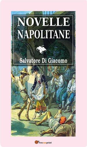 Book cover of Novelle Napolitane