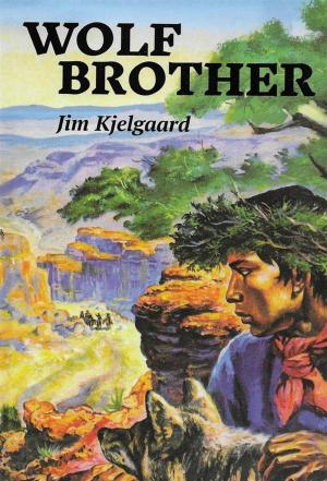Cover of the book Wolf Brother by Laura Adams Armer