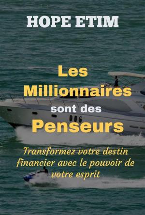 Book cover of Les Millionnaires Sont des Penseurs