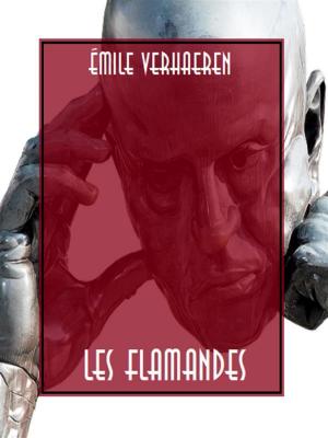 Cover of the book Les Flamandes by Emilio Salgari