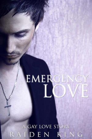 Cover of Emergency Love: A Gay Love Story