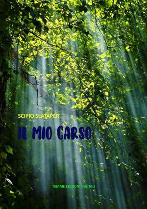 Cover of Il mio Carso