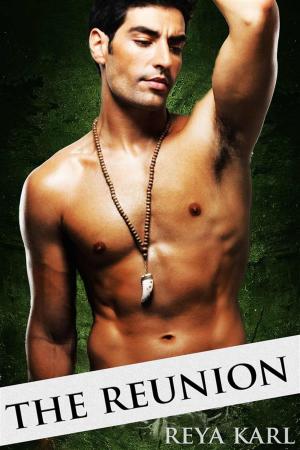 Cover of the book The Reunion by Portia Moore