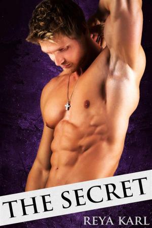 Cover of the book The Secret by Cheyenne Barnett