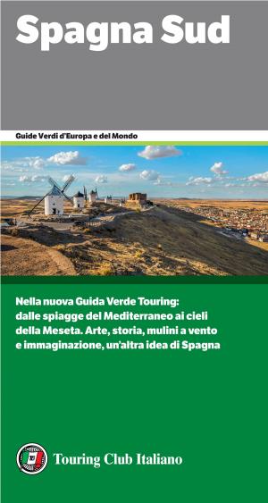 bigCover of the book Spagna Sud by 