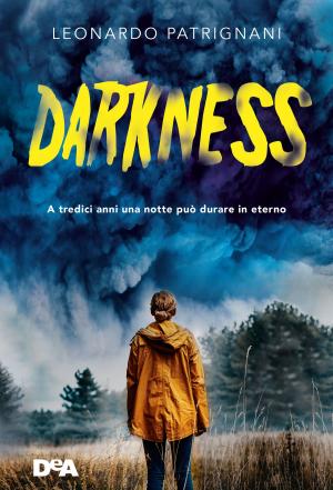 Cover of the book Darkness by Ally Carter