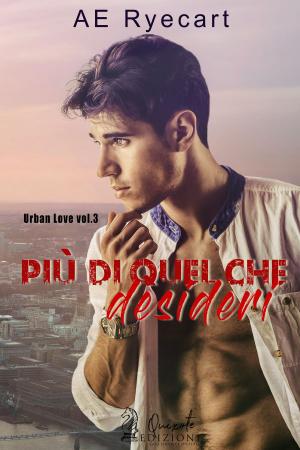 Cover of the book Più di quel che desideri by R. Phoenix