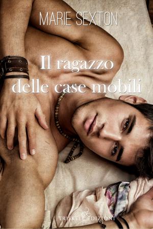 Cover of the book Il ragazzo delle case mobili by Antonella Pellegrino