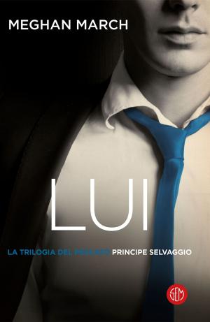 Book cover of LUI