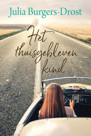 Cover of the book Het thuisgebleven kind? by Robin Benway