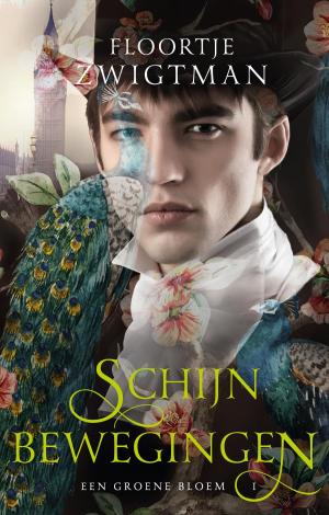Cover of the book Schijnbewegingen by Brandon Sanderson