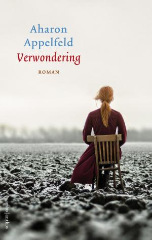 Book cover of Verwondering