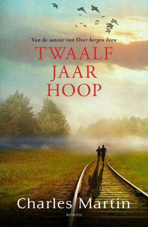Cover of the book Twaalf jaar hoop by Lynn Austin