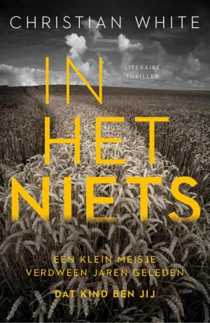 Cover of the book In het niets by Gill Paul