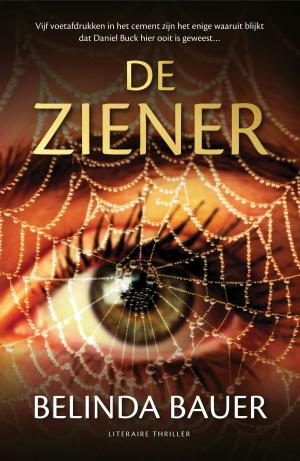 Cover of the book De ziener by Jens Lapidus
