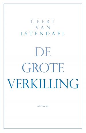 Cover of the book De grote verkilling by Jan Brokken