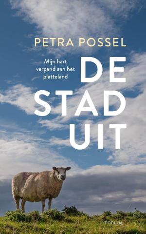 Cover of the book De stad uit by F. Scott Fitzgerald