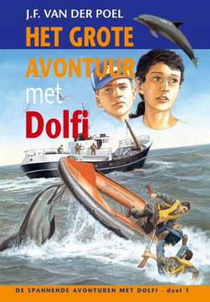 Cover of the book Het grote avontuur met Dolfi by Jeff Kinney