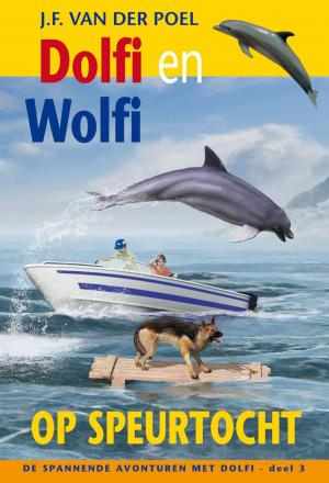 Cover of the book Dolfi en Wolfi op speurtocht by Anita Diamant