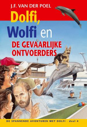 Cover of the book Dolfi, Wolfi en de gevaarlijke ontvoerders by David Kristoph