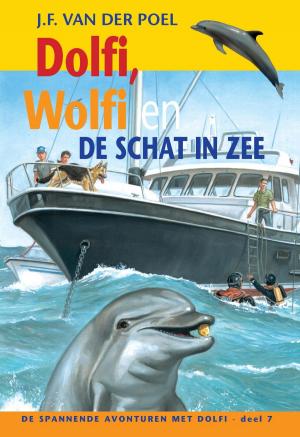 Cover of the book Dolfi, Wolfi en de schat in zee by Anke de Graaf