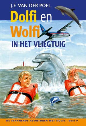 Cover of the book Dolfi en wolfi in het vliegtuig by Gerda van Wageningen