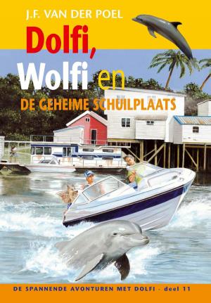 Cover of the book Dolfi, Wolfi en de geheime schuilplaats by Robin Labron