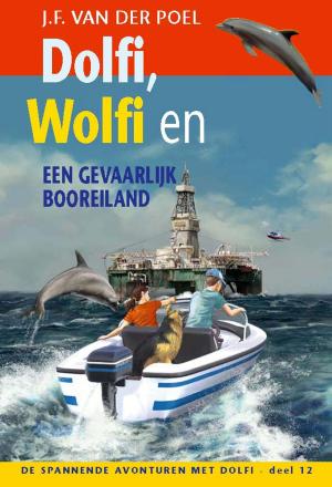 Cover of the book Dolfi, Wolfi en een gevaarlijk booreiland by Henny Thijssing-Boer