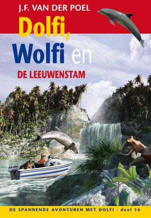 Book cover of Dolfi, Wolfi en de leeuwenstam