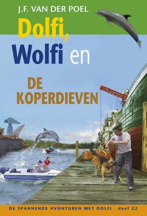 Cover of the book Dolfi, Wolfi en de koperdieven by Thomas d' Ansembourg