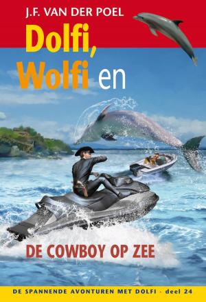 Cover of the book Dolfi, Wolfi en de cowboy op zee by Hans Stolp, Harm Wagenmakers