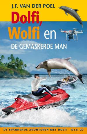 Cover of the book Dolfi en Wolfi en de gemaskerde man, deel 27 by Jim Zoetewey