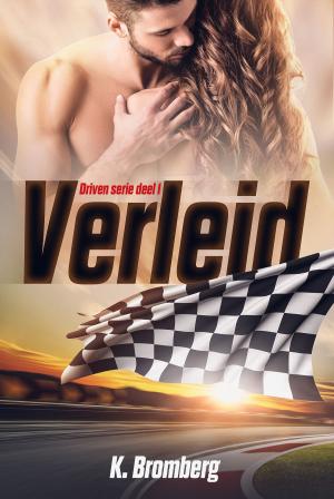 Cover of the book Verleid by Stacy Gail