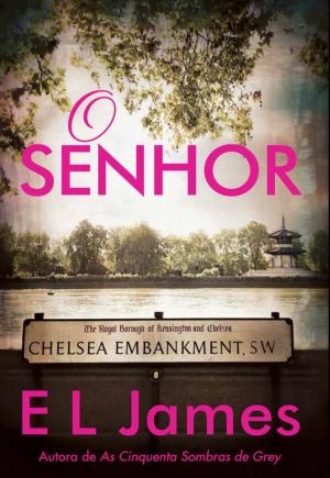 Cover of the book O Senhor by Samantha Young