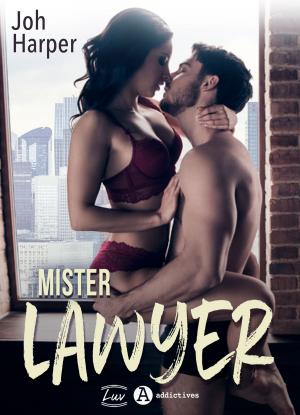 Book cover of Mister Lawyer