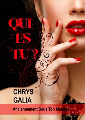 Cover of the book Qui es-tu ? by Pascal Pontolier