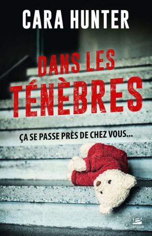 Cover of the book Dans les ténèbres by Marine le Goascoz