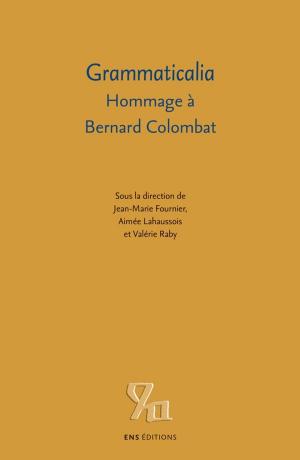 Cover of the book Grammaticalia by Alain Messaoudi