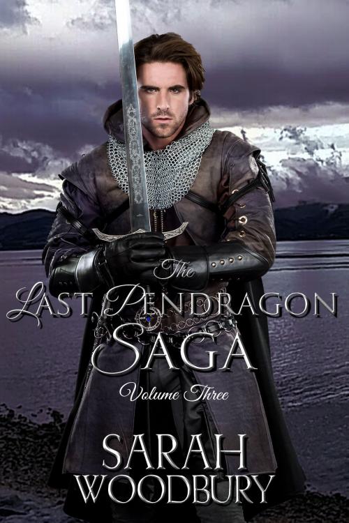 Cover of the book The Last Pendragon Saga Volume 3 (The Last Pendragon Saga) by Sarah Woodbury, The Morgan-Stanwood Publishing Group