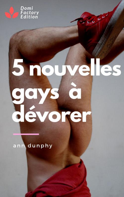 Cover of the book 5 nouvelles gays à dévorer by Ann Dunphy, AD Edition