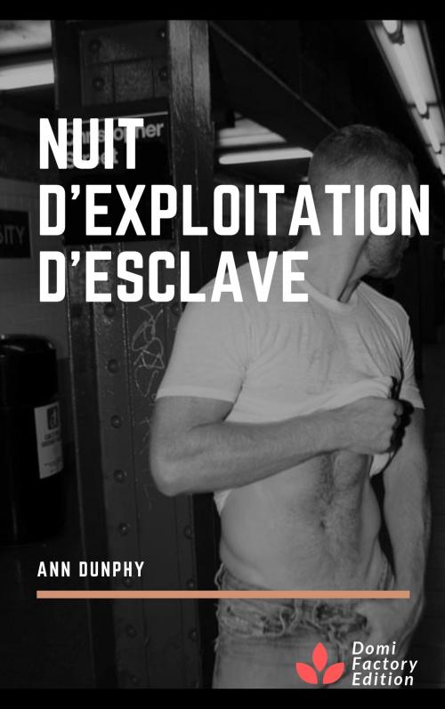 Cover of the book Nuit d'exploitation d'esclave by Ann Dunphy, AD Edition