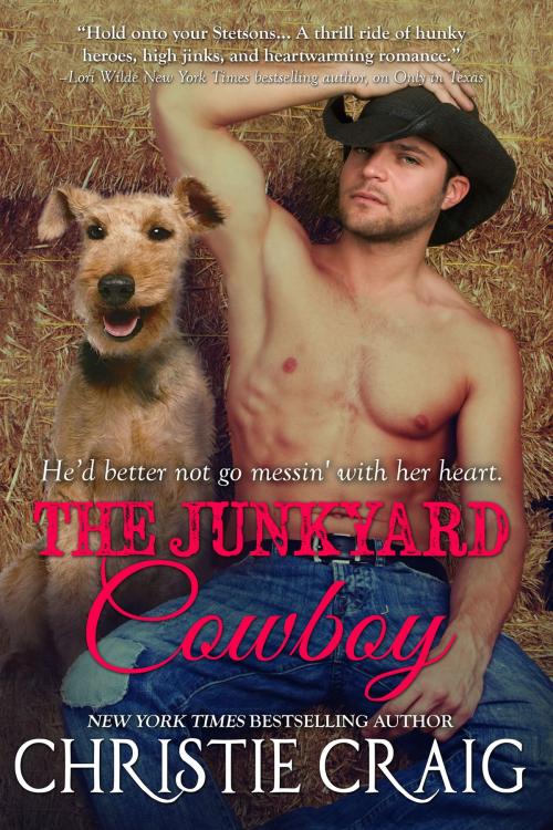 Cover of the book The Junkyard Cowboy by Christie Craig, Christie Craig