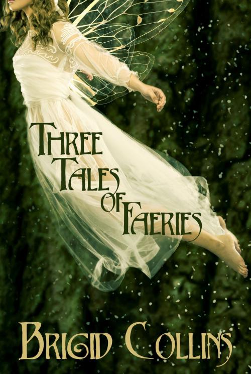 Cover of the book Three Tales of Faeries by Brigid Collins, Frosty Owl Publishing