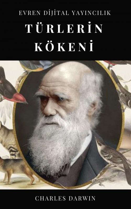 Cover of the book Türlerin Kökeni by Charles Darwin, Evren Dijital Yayıncılık