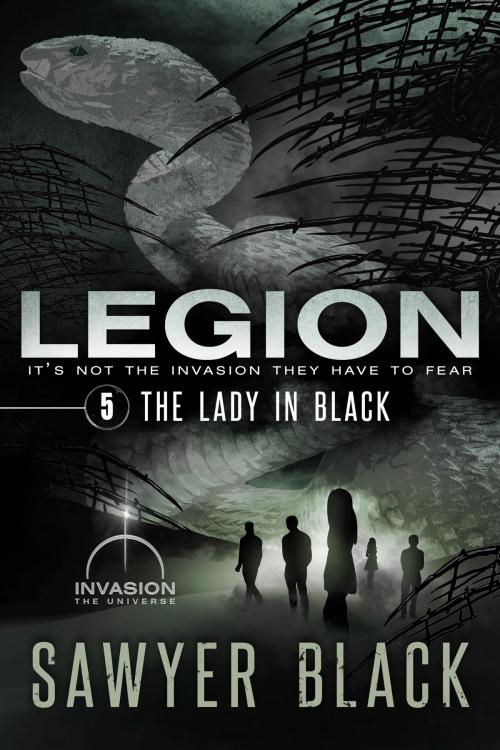Cover of the book The Lady in Black by Sawyer Black, Sterling & Stone