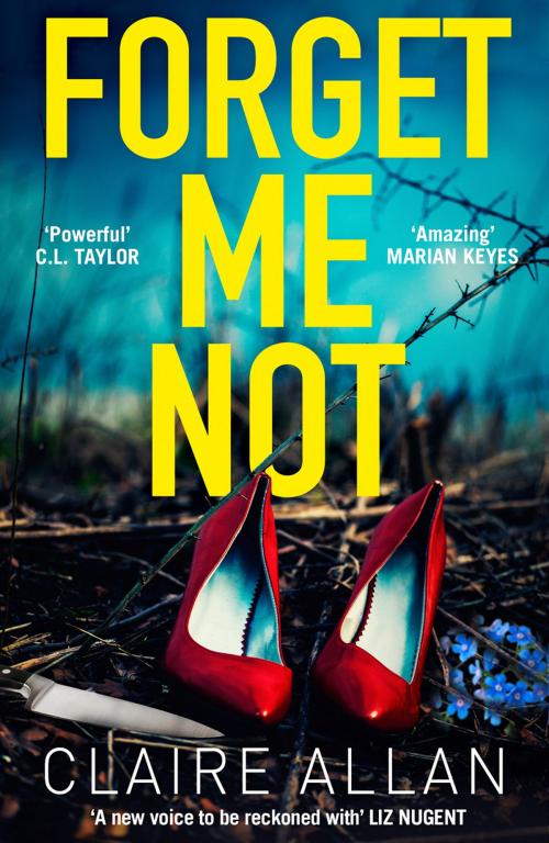 Cover of the book Forget Me Not by Claire Allan, HarperCollins Publishers