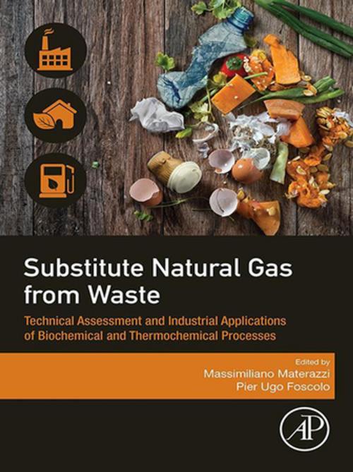 Cover of the book Substitute Natural Gas from Waste by , Elsevier Science