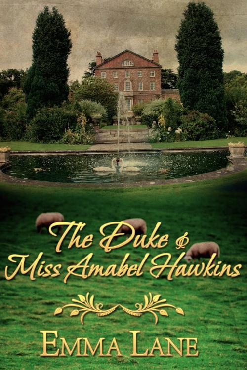 Cover of the book The Duke and Miss Amabel Hawkins by Emma J Lane, Emma J Lane